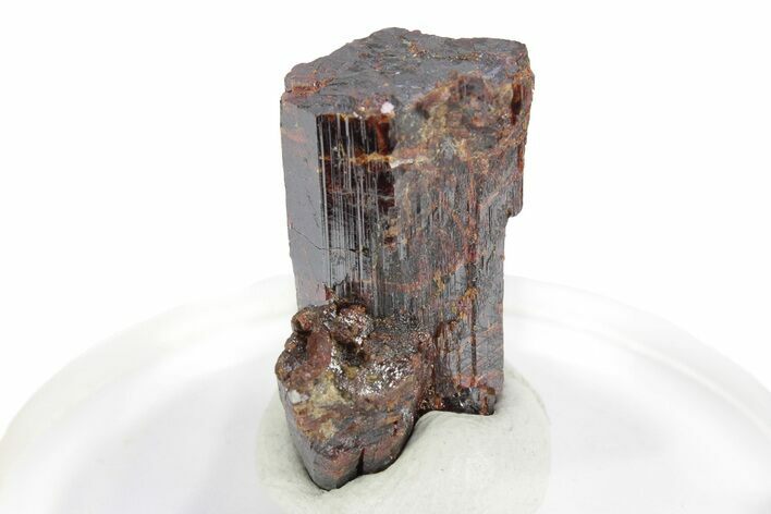 Lustrous, Red-Brown Rutile Crystals - Québec, Canada #247294